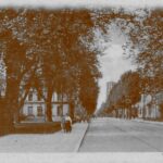 Am Rondel