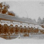 Luisium Gewächshaus